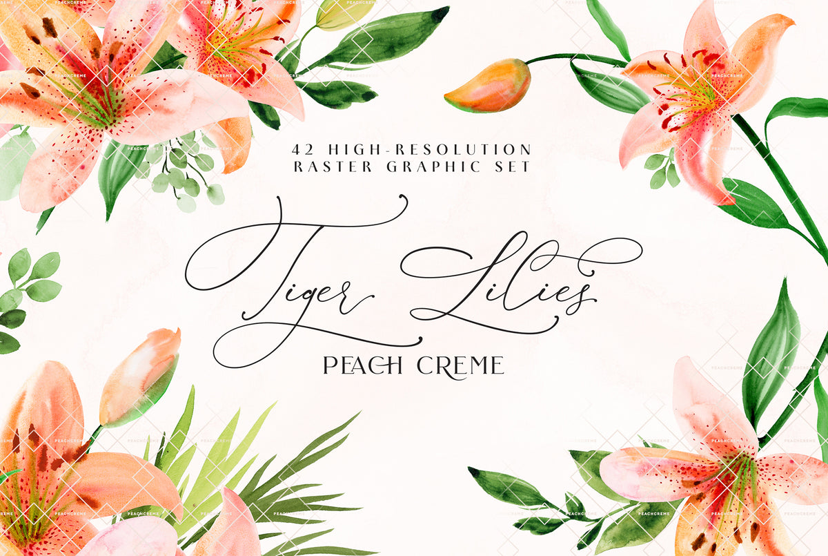 Tiger Lilies // Illustration Vol.3