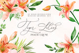 Tiger Lilies // Illustration Vol.3