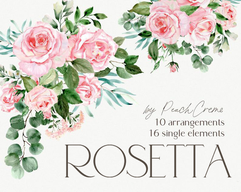 Rosetta // Watercolor Set