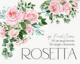 Rosetta // Watercolor Set