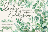 Lovely Eucalyptus // Watercolor Set