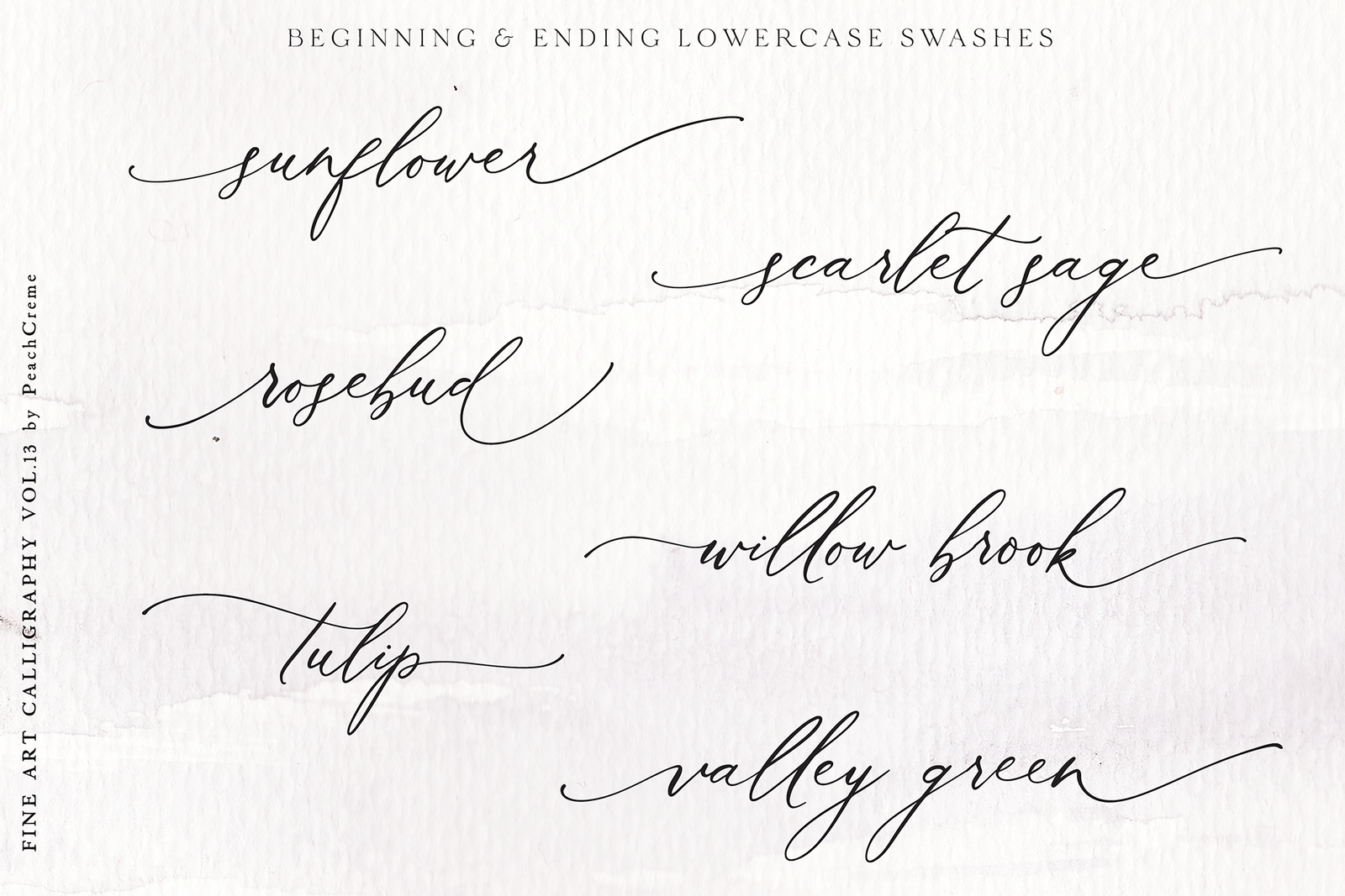 Roseberry & Beatrice Font , , - peachcreme.com