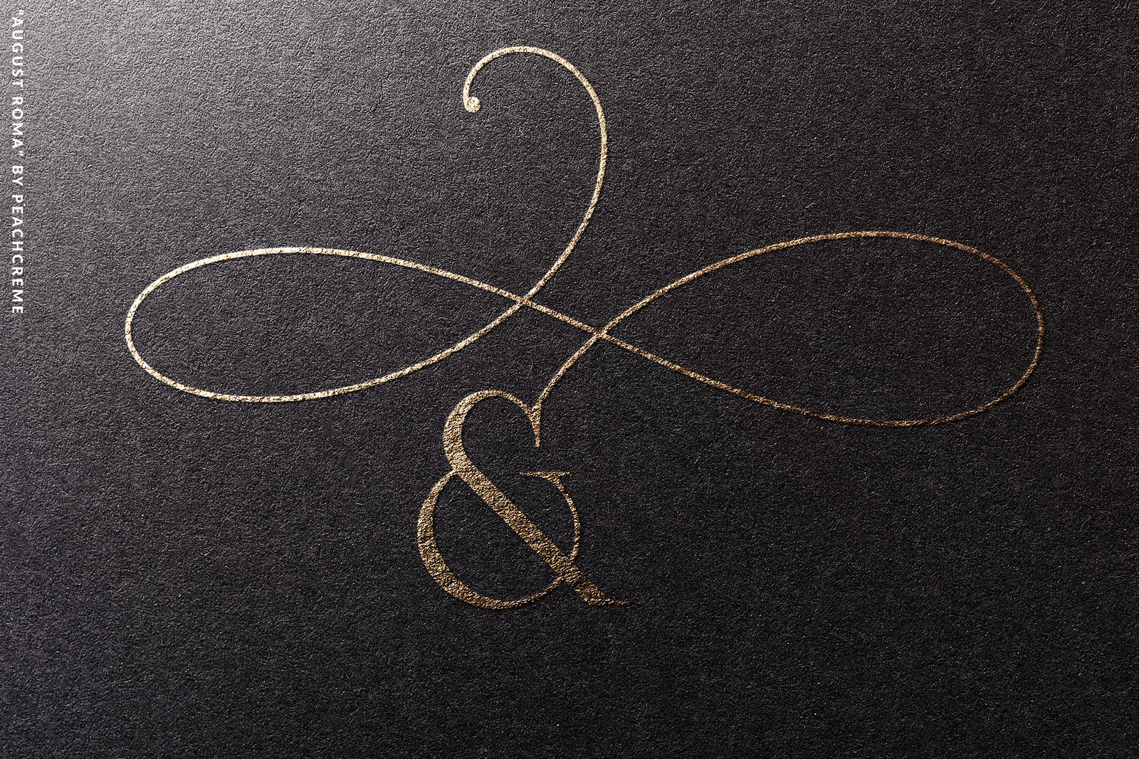 August Roma // Elegant Luxury Font Duo