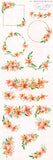 Tiger Lilies // Illustration Vol.3