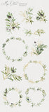 Miss Olive // Watercolor Set