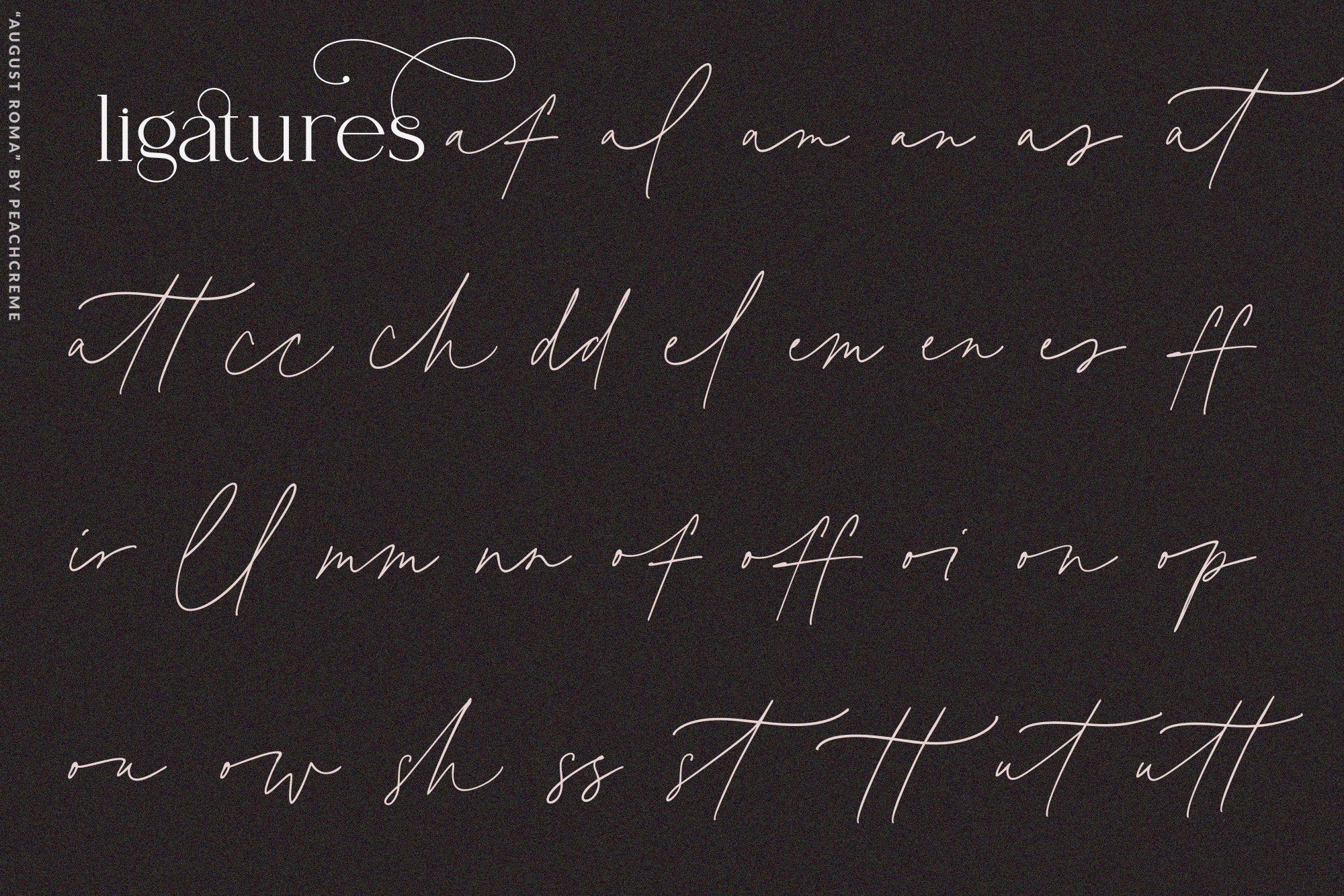 August Roma // Elegant Luxury Font Duo