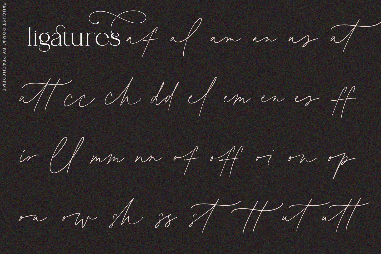 August Roma // Elegant Luxury Font Duo