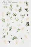 Miss Olive // Watercolor Set