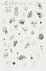 Miss Olive // Watercolor Set