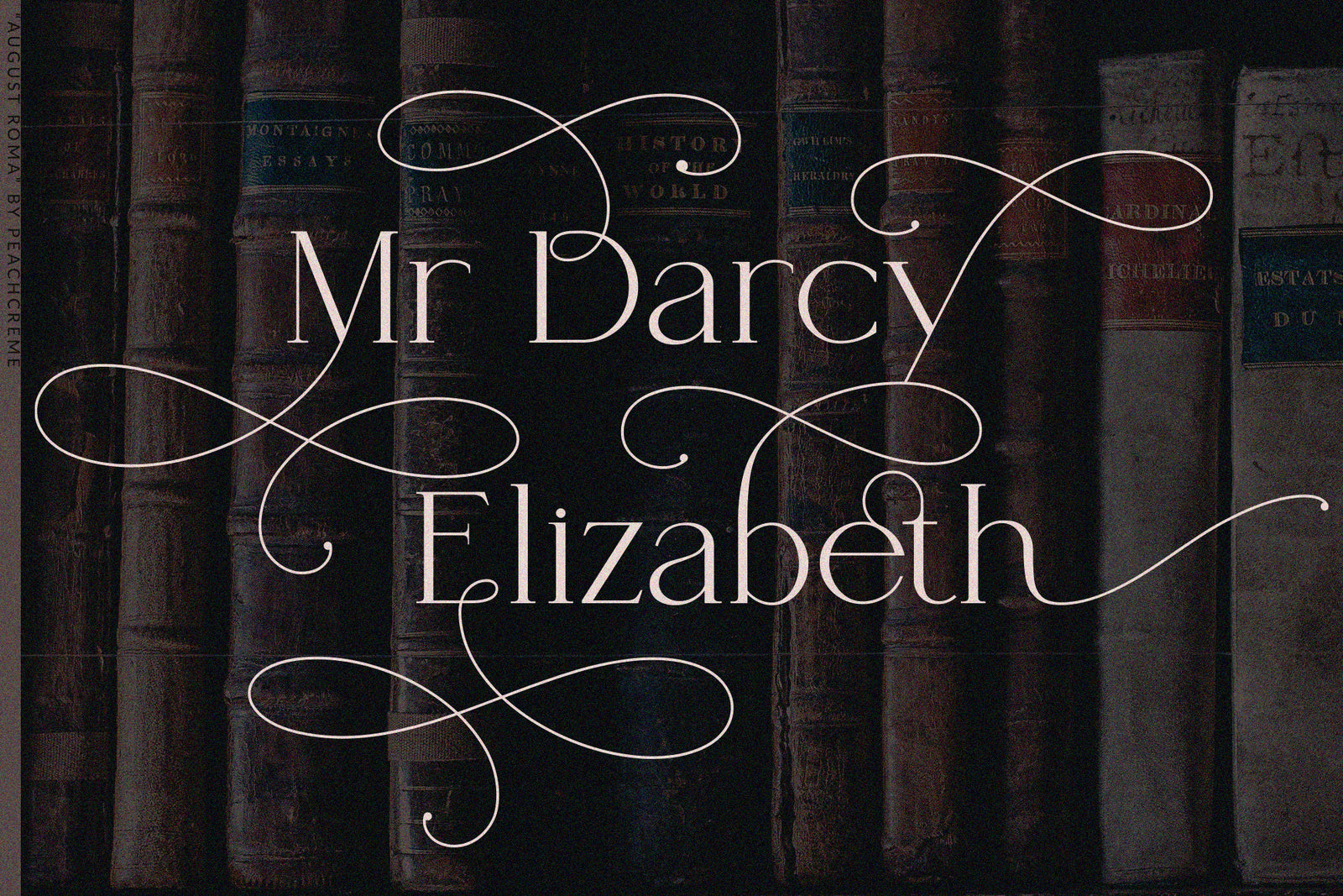 August Roma // Elegant Luxury Font Duo