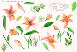 Tiger Lilies // Illustration Vol.3