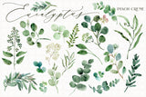 Eucalyptus // Illustration Vol.3