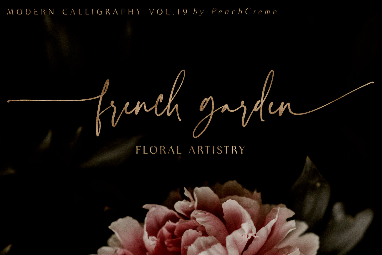 Faustine Modern Script , , - peachcreme.com