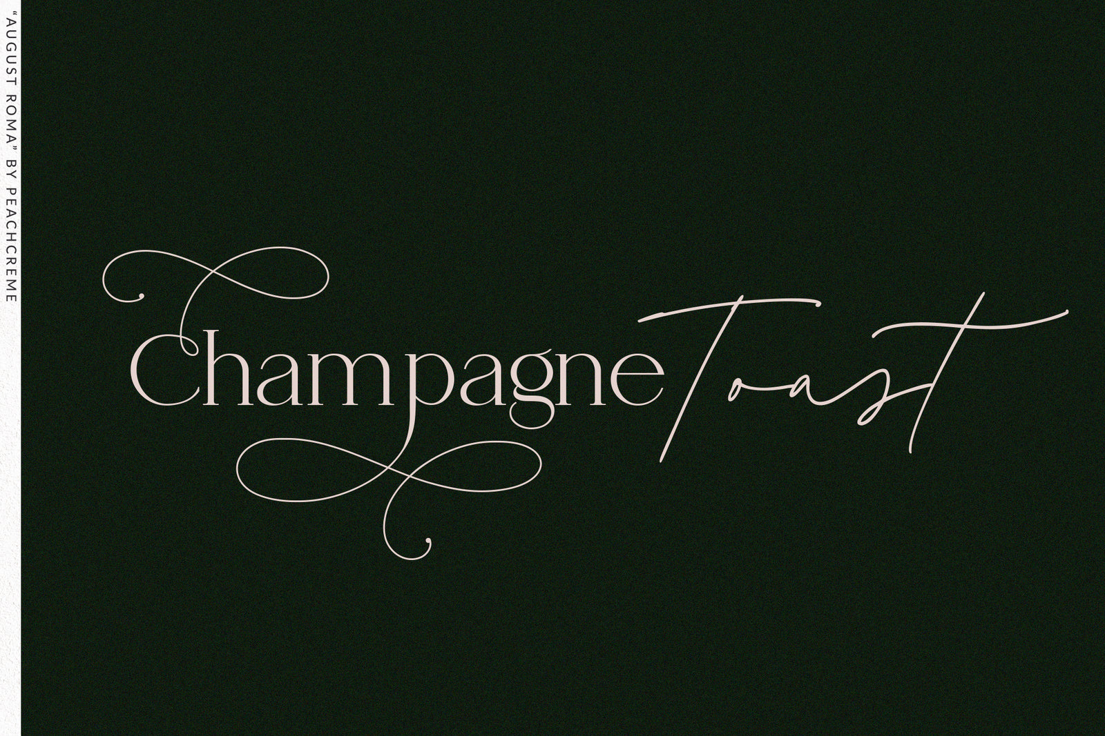 August Roma // Elegant Luxury Font Duo