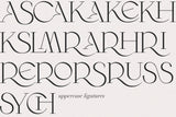 Wilde Rosa // Contemporary Chic Font