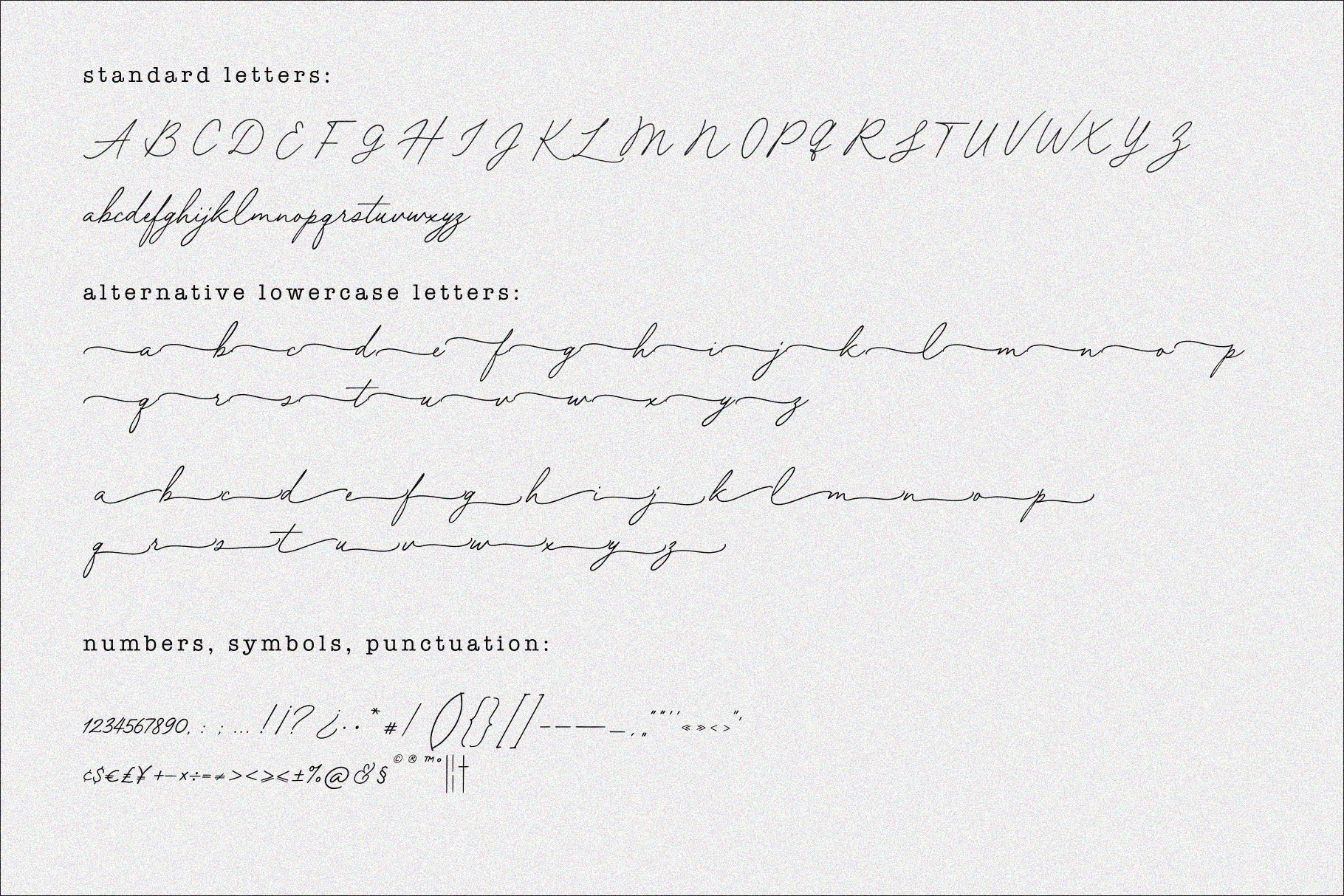 Forest Hill // Modern Script Font