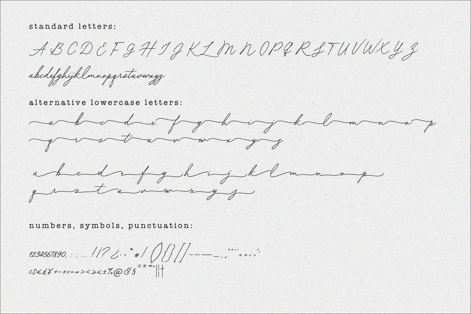 Forest Hill // Modern Script Font