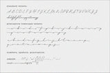 Forest Hill // Modern Script Font