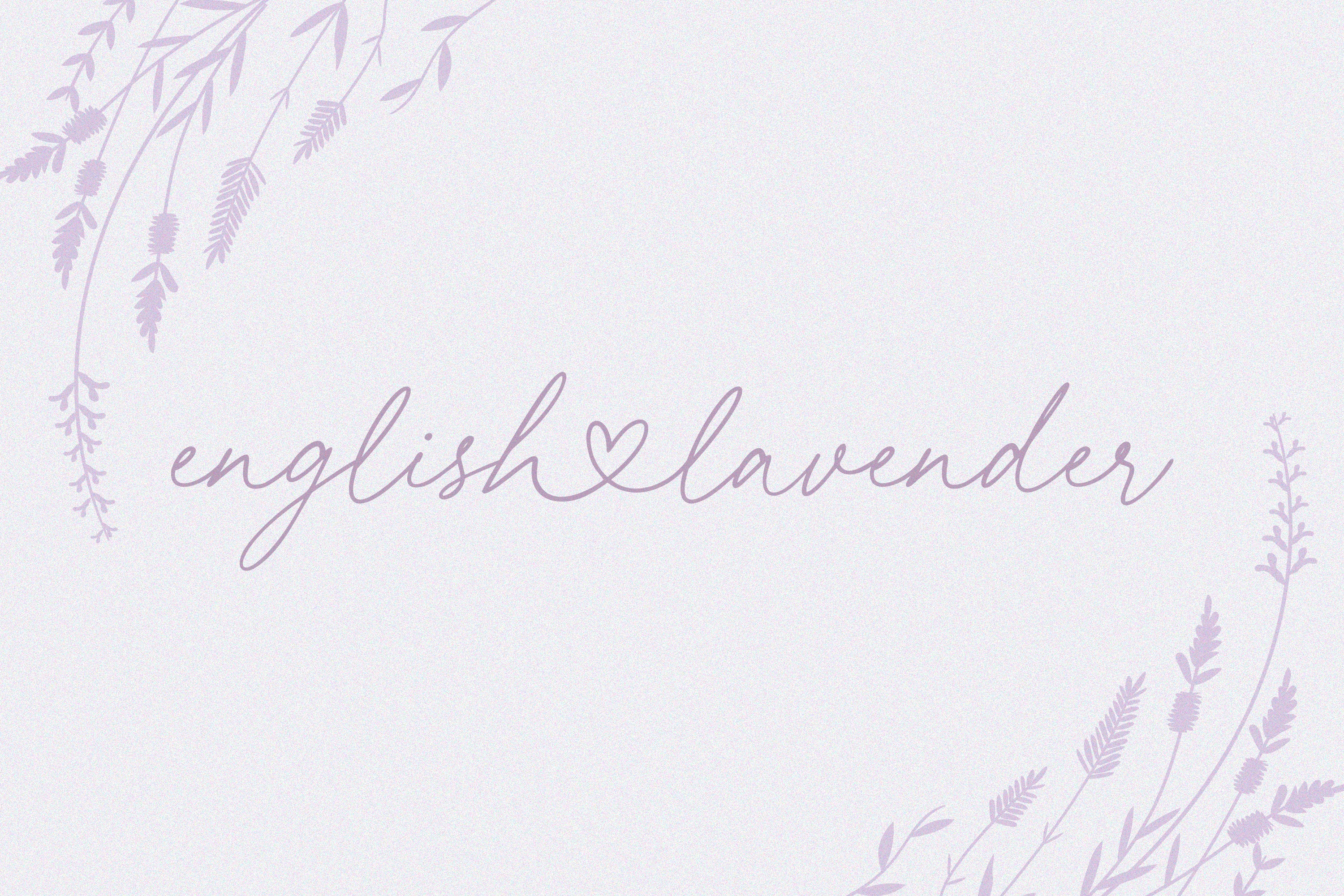 Leyla Mark//Lovely Script