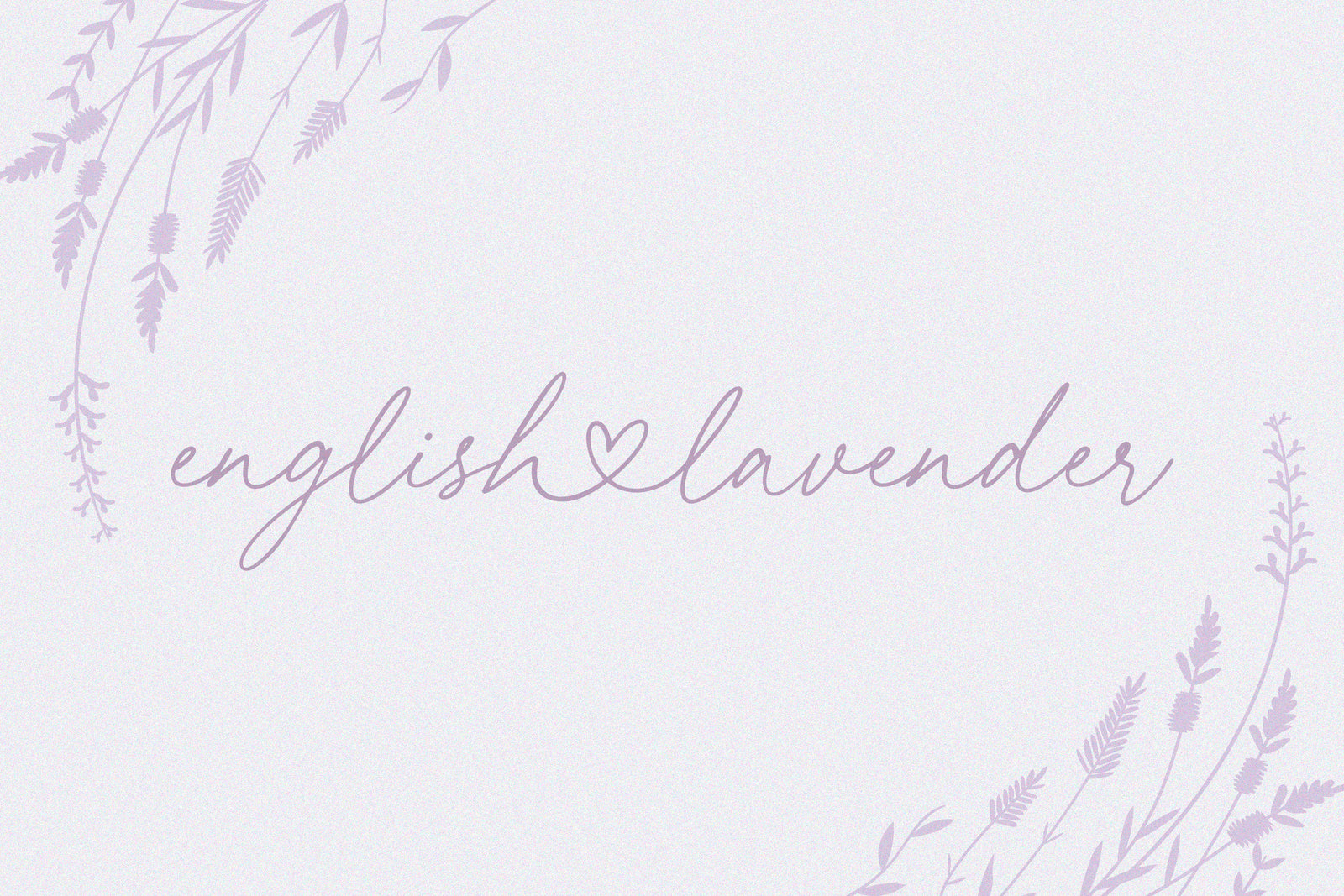 Leyla Mark//Lovely Script