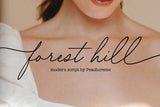 Forest Hill // Modern Script Font