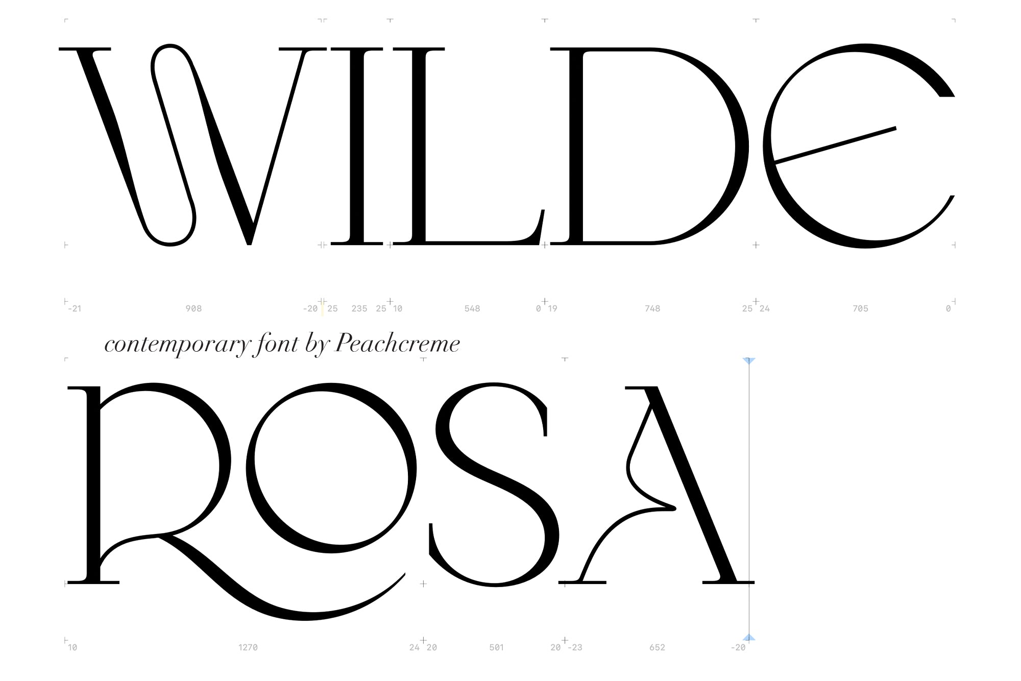 Wilde Rosa // Contemporary Chic Font