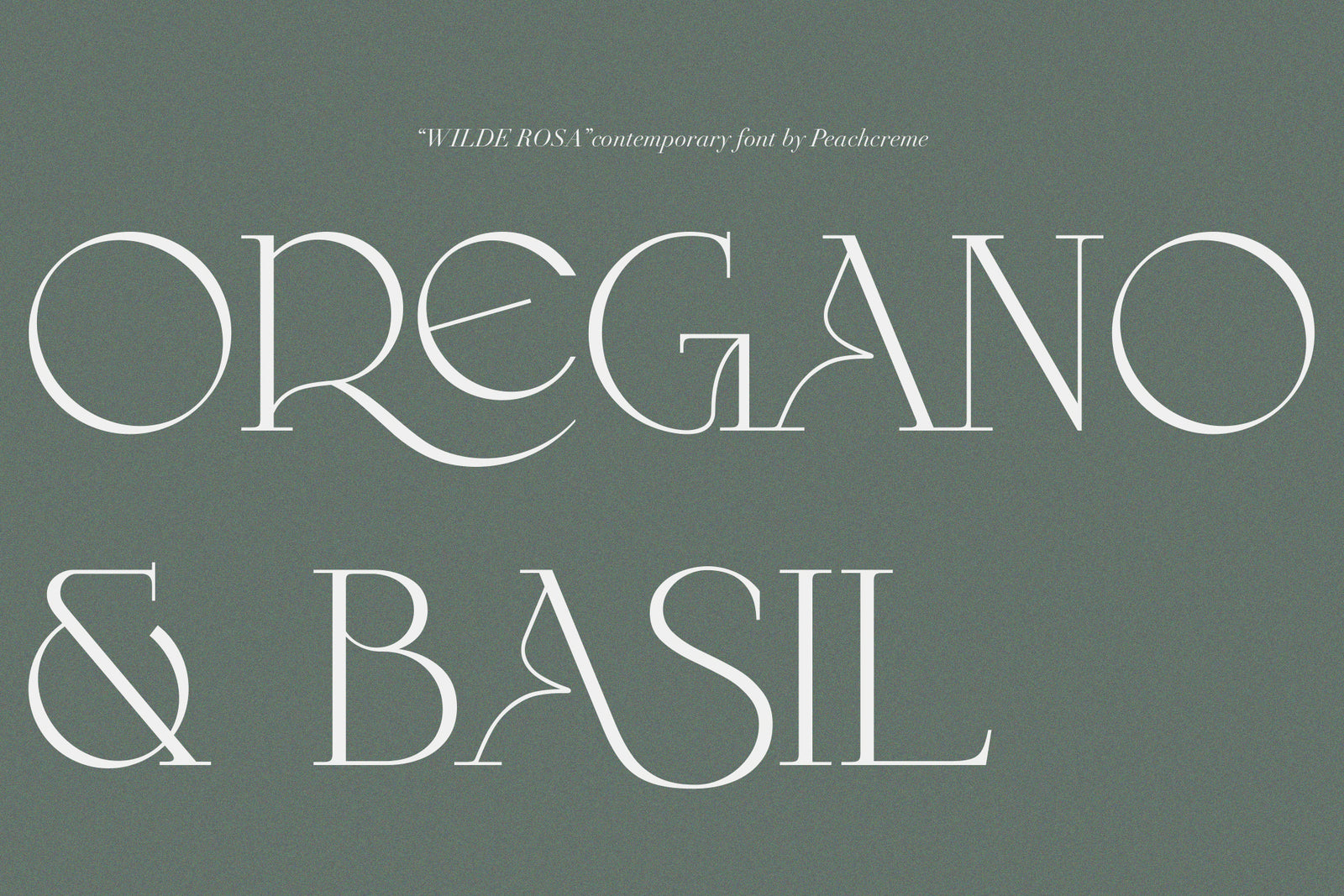 Wilde Rosa // Contemporary Chic Font