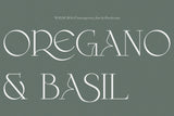 Wilde Rosa // Contemporary Chic Font