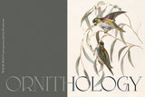 Wilde Rosa // Contemporary Chic Font