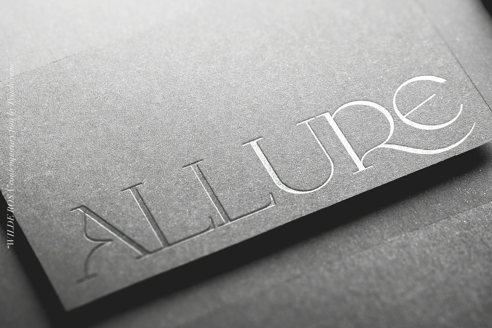 Wilde Rosa // Contemporary Chic Font