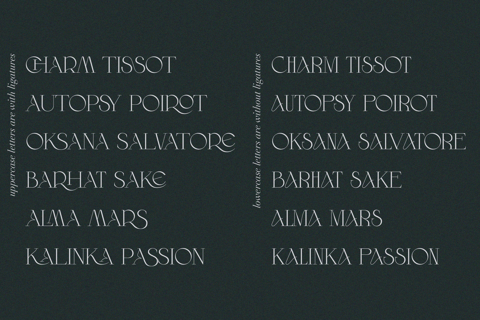 Wilde Rosa // Contemporary Chic Font