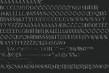 Wilde Rosa // Contemporary Chic Font