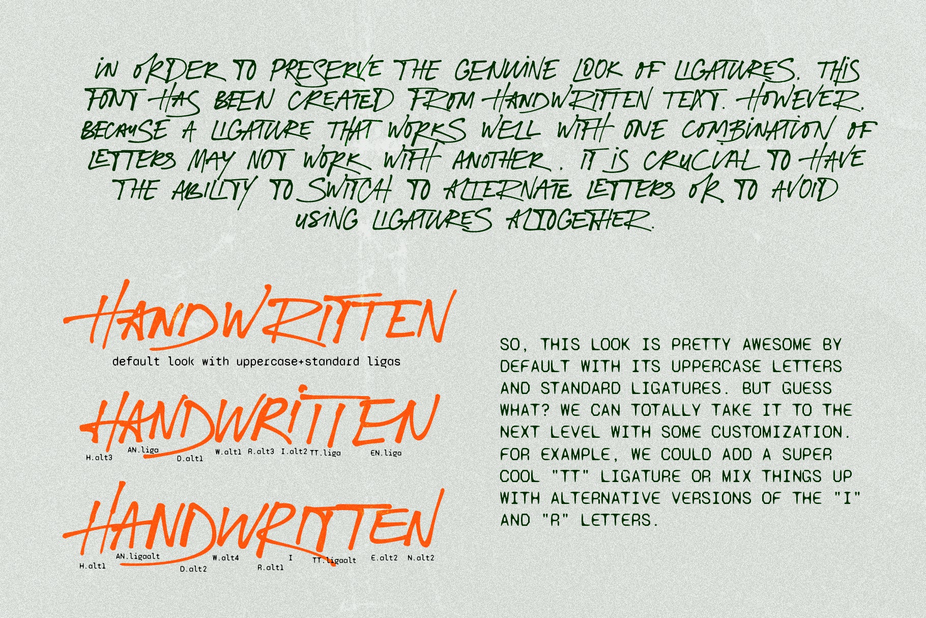 Fashion Experiment // Funky Font