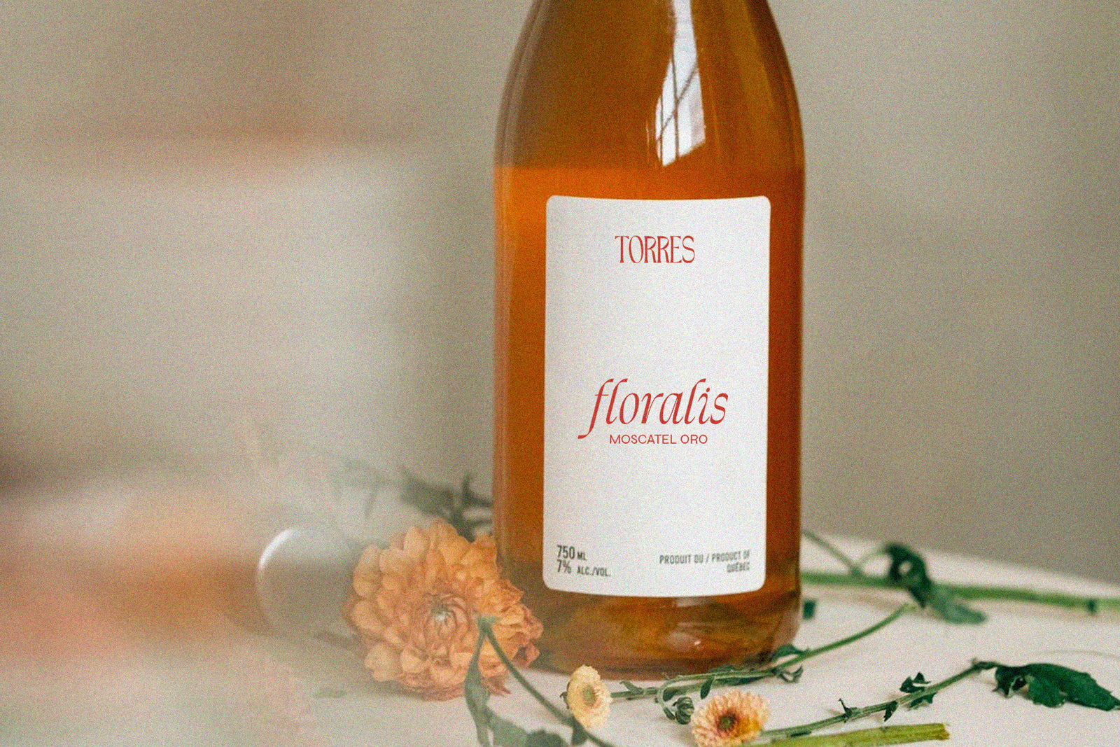 French Flair Font Duo
