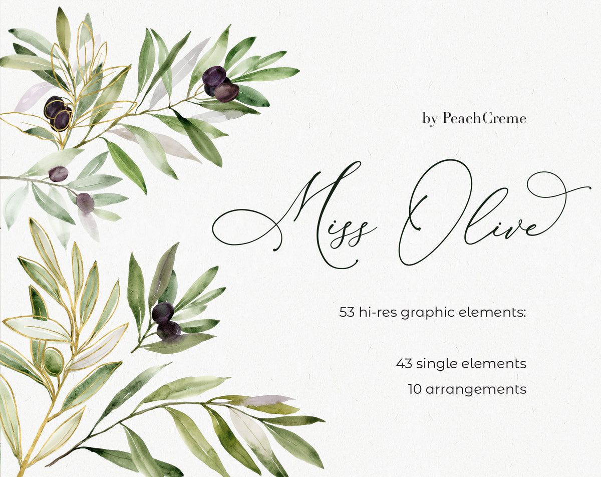 Miss Olive // Watercolor Set