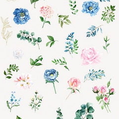 Floral  Theory // Watercolor Set