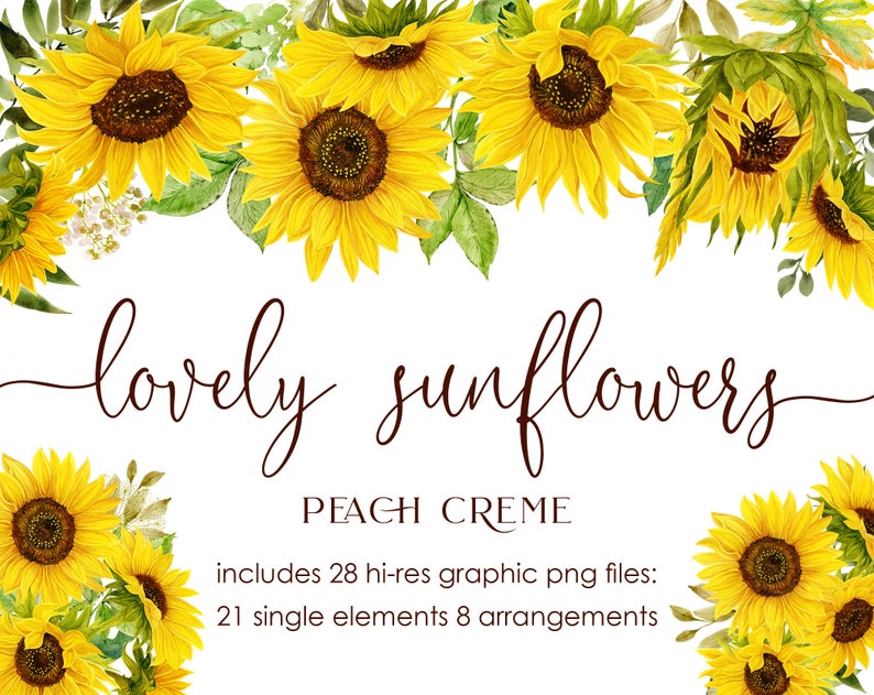 Lovely Sunflowers // Watercolor Set