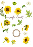 Lovely Sunflowers // Watercolor Set