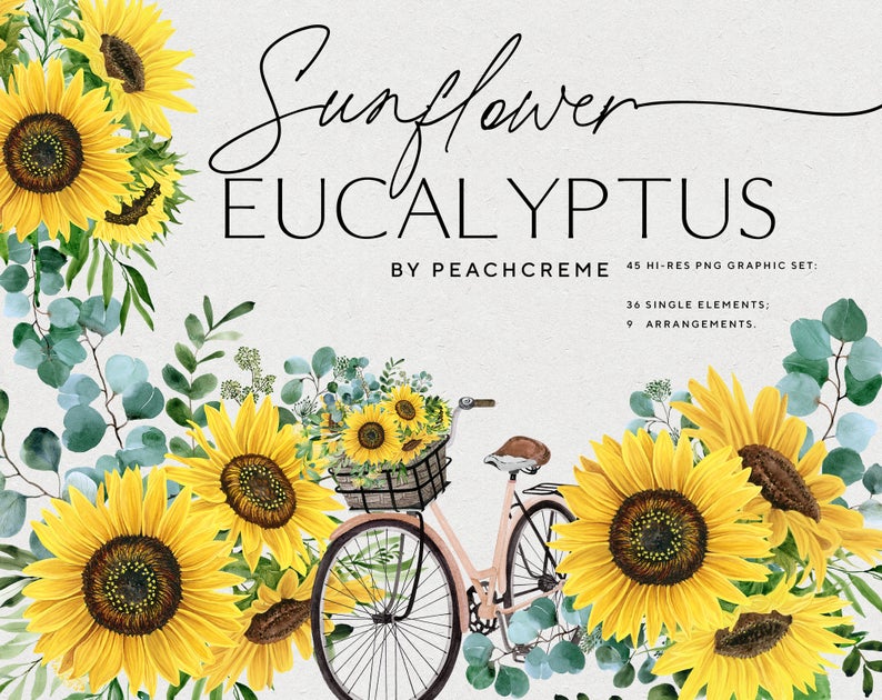 Sunflower Eucalyptus // Watercolor Set