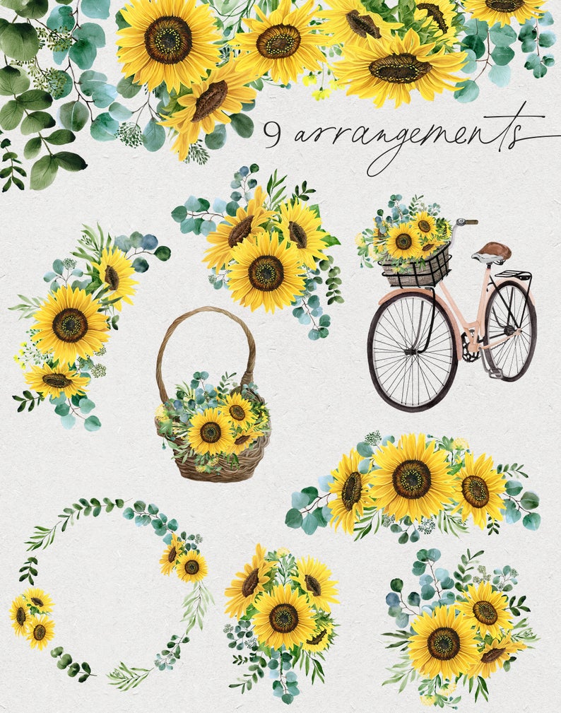 Sunflower Eucalyptus // Watercolor Set