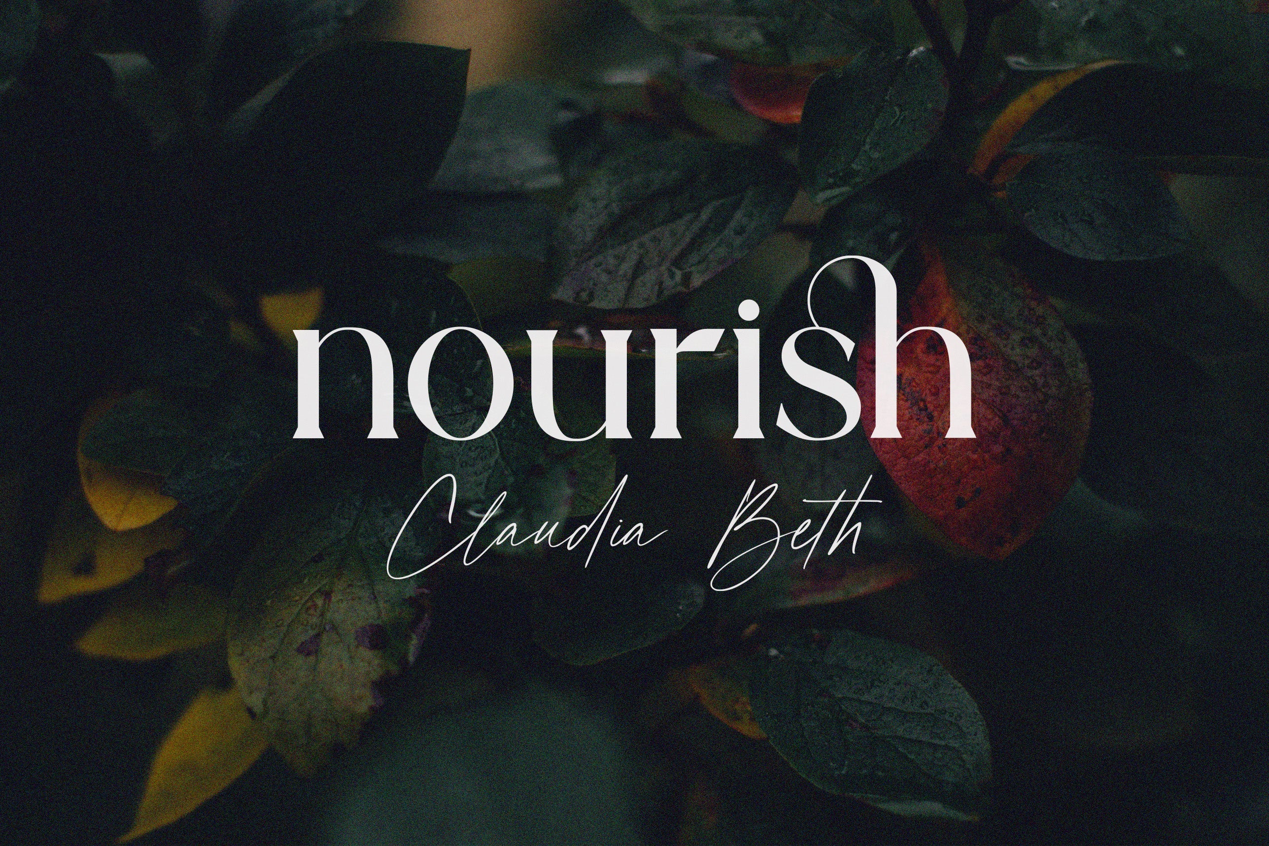 Romes // Modern Font Duo