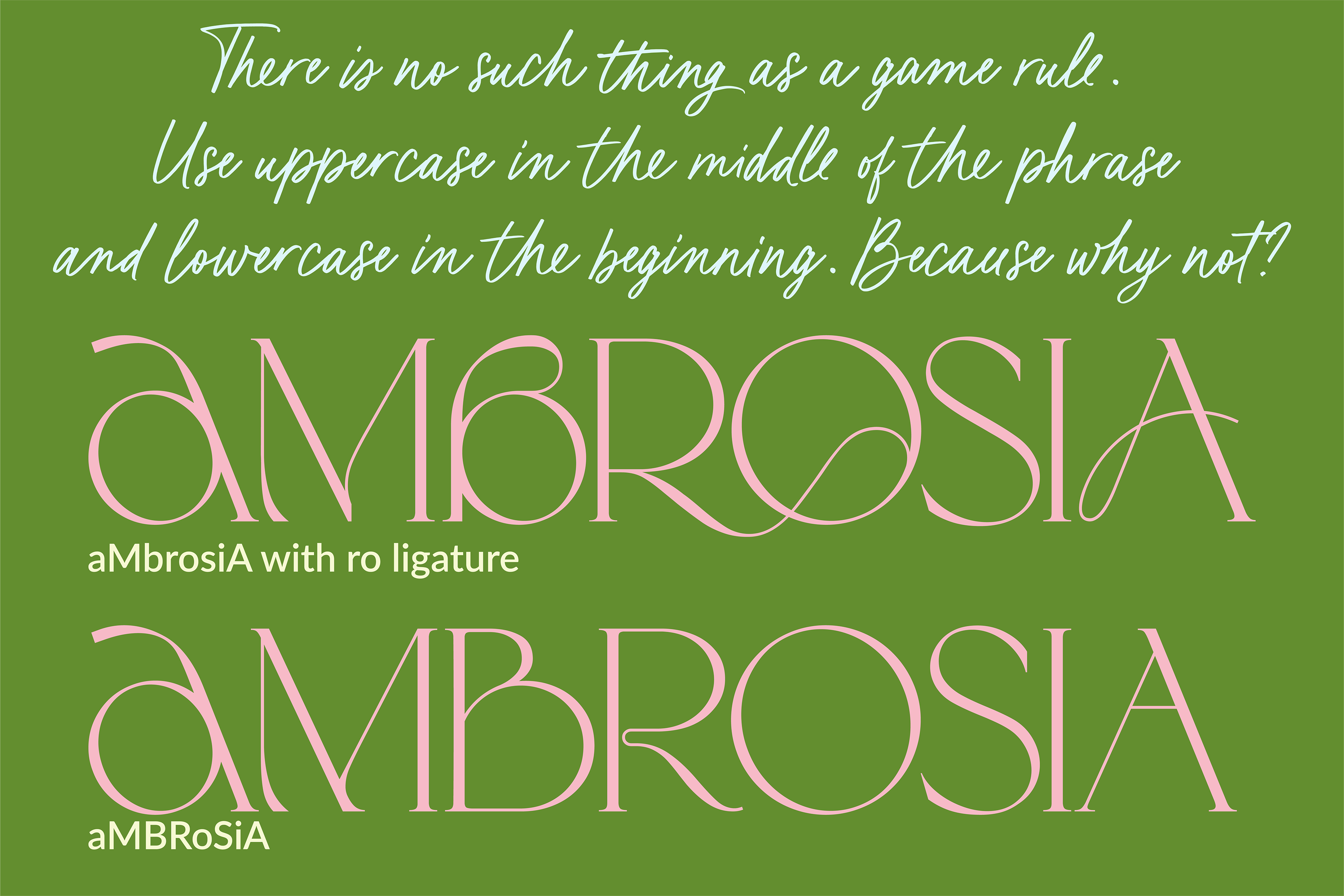 Karme // Font Duo